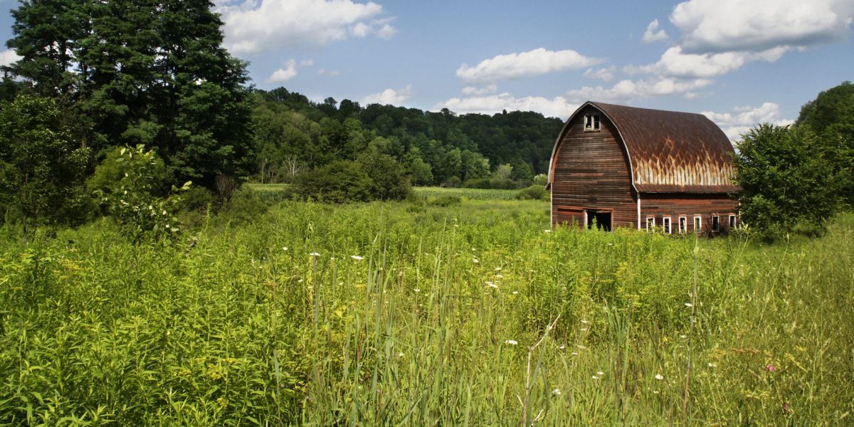 Campagne