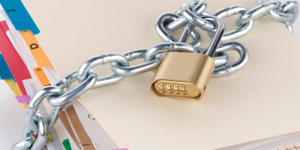 Carnet de santé améli 