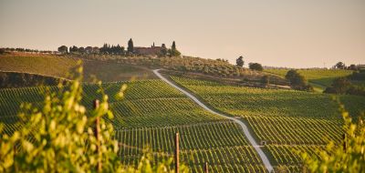 Bourgogne