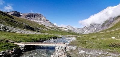 Ensemble pour les Libertés Auvergne Rhone Alpes 