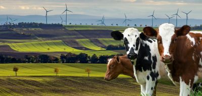 Eolienne 5G agriculture
