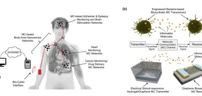 internet biologique