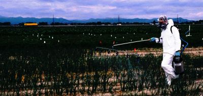 pesticides